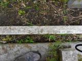 image of grave number 107245